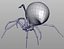 spider