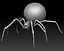 spider