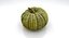 3d model pumpkin 04
