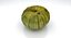 3d model pumpkin 04
