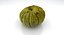 3d model pumpkin 04
