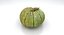 3d model pumpkin 04