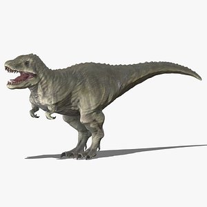 3D Tyrannosaurus 02 Low Poly PBR Realistic