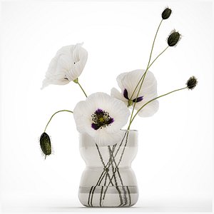 Bouquet Of White Wild Flowers In A Vase Poppy 455 model