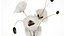 Bouquet Of White Wild Flowers In A Vase Poppy 455 model