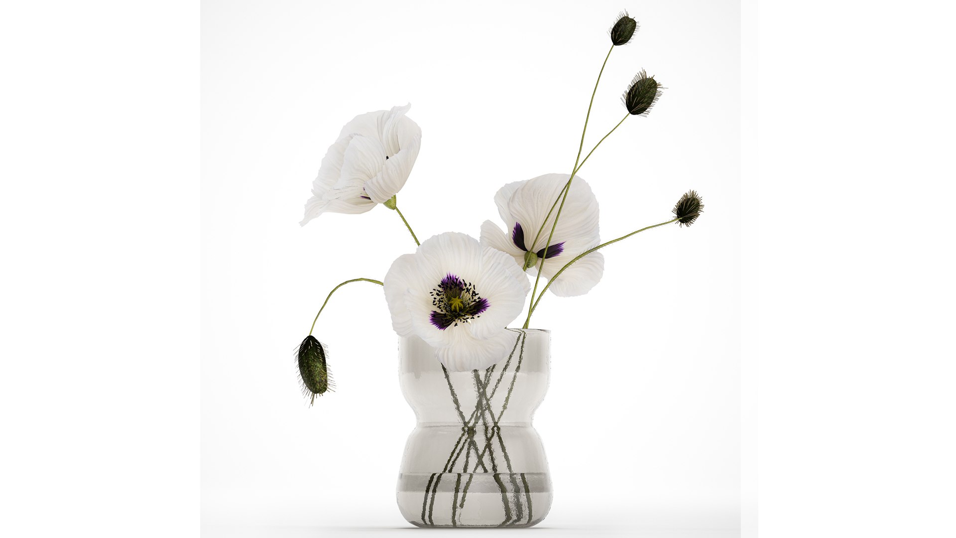 Bouquet Of White Wild Flowers In A Vase Poppy 455 model https://p.turbosquid.com/ts-thumb/cb/Jo2fFq/ei/1bouquet1309202403/jpg/1726315940/1920x1080/fit_q87/c40b9a5f84c529fe2fdfc3721c5b166164bf2547/1bouquet1309202403.jpg