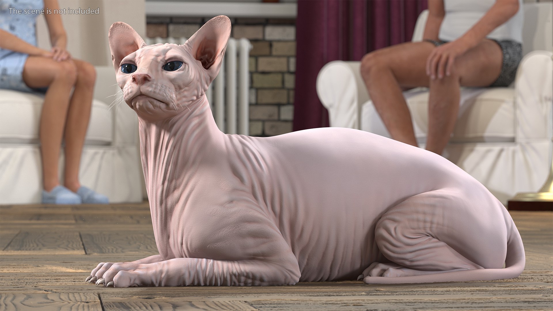 cream sphynx cat rigged 3D model https://p.turbosquid.com/ts-thumb/cb/SRKU04/50eMUQO5/creamsphynxcatriggedvray3dmodel006/jpg/1606342223/1920x1080/fit_q87/93649ad32525ab387412ddc50e0e0c0268931a39/creamsphynxcatriggedvray3dmodel006.jpg