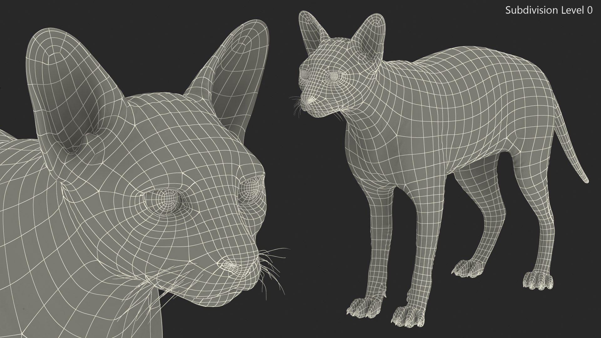 cream sphynx cat rigged 3D model https://p.turbosquid.com/ts-thumb/cb/SRKU04/6iNak9Qe/creamsphynxcatriggedvray3dmodel024/jpg/1606342438/1920x1080/fit_q87/b07e7d0eb4aeef5989af662a7ff7a4e49e2bd6d1/creamsphynxcatriggedvray3dmodel024.jpg