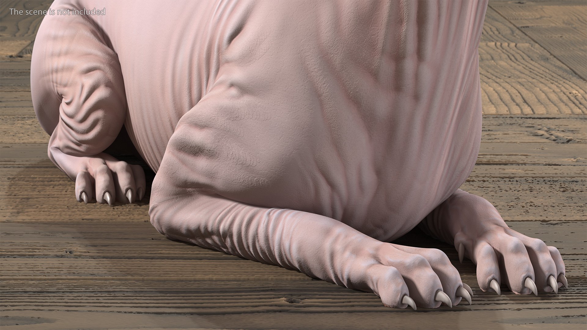 cream sphynx cat rigged 3D model https://p.turbosquid.com/ts-thumb/cb/SRKU04/VjzO6REW/creamsphynxcatriggedvray3dmodel011/jpg/1606342284/1920x1080/fit_q87/6cbf81f959ef5de76466526fe3832a27209c2437/creamsphynxcatriggedvray3dmodel011.jpg