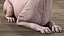 Cream Sphynx Cat Rigged