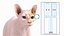 Cream Sphynx Cat Rigged