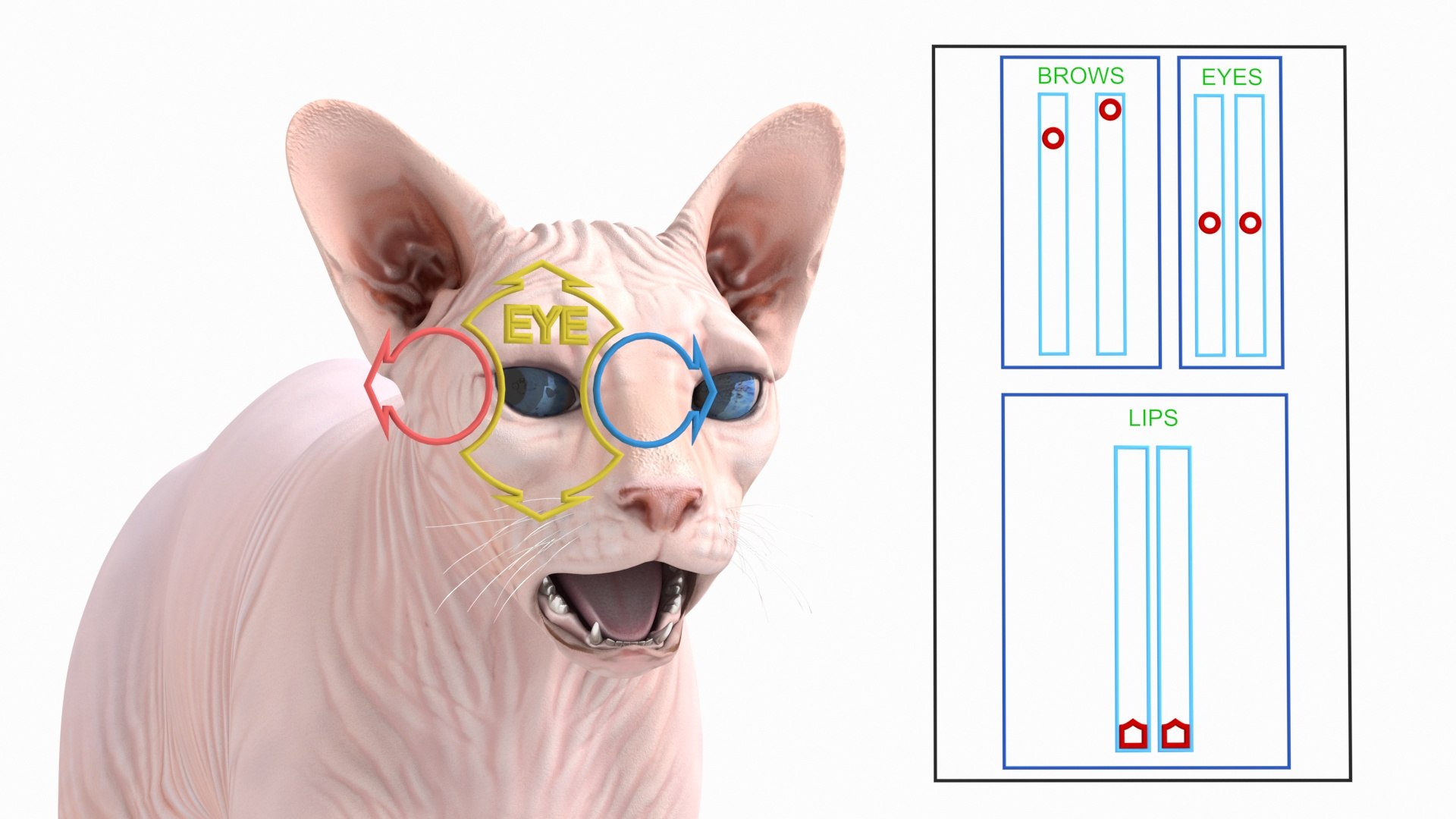 cream sphynx cat rigged 3D model https://p.turbosquid.com/ts-thumb/cb/SRKU04/lIaa2mq6/creamsphynxcatriggedvray3dmodel002/jpg/1606342175/1920x1080/fit_q87/be90b6646ee82774fbf84ec4a00a2c115dcebeb8/creamsphynxcatriggedvray3dmodel002.jpg