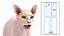 Cream Sphynx Cat Rigged