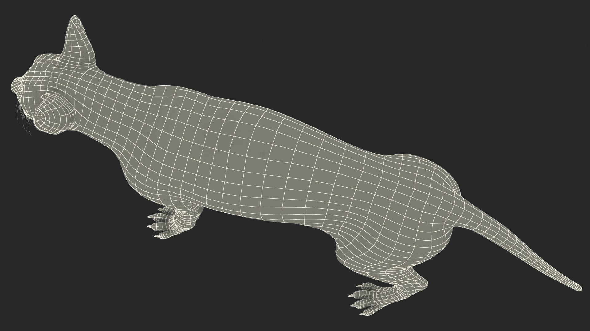 cream sphynx cat rigged 3D model https://p.turbosquid.com/ts-thumb/cb/SRKU04/vJCR6Sc3/creamsphynxcatriggedvray3dmodel030/jpg/1606342512/1920x1080/fit_q87/e65e715a2e8763d3268e941039965a052c7bf73f/creamsphynxcatriggedvray3dmodel030.jpg