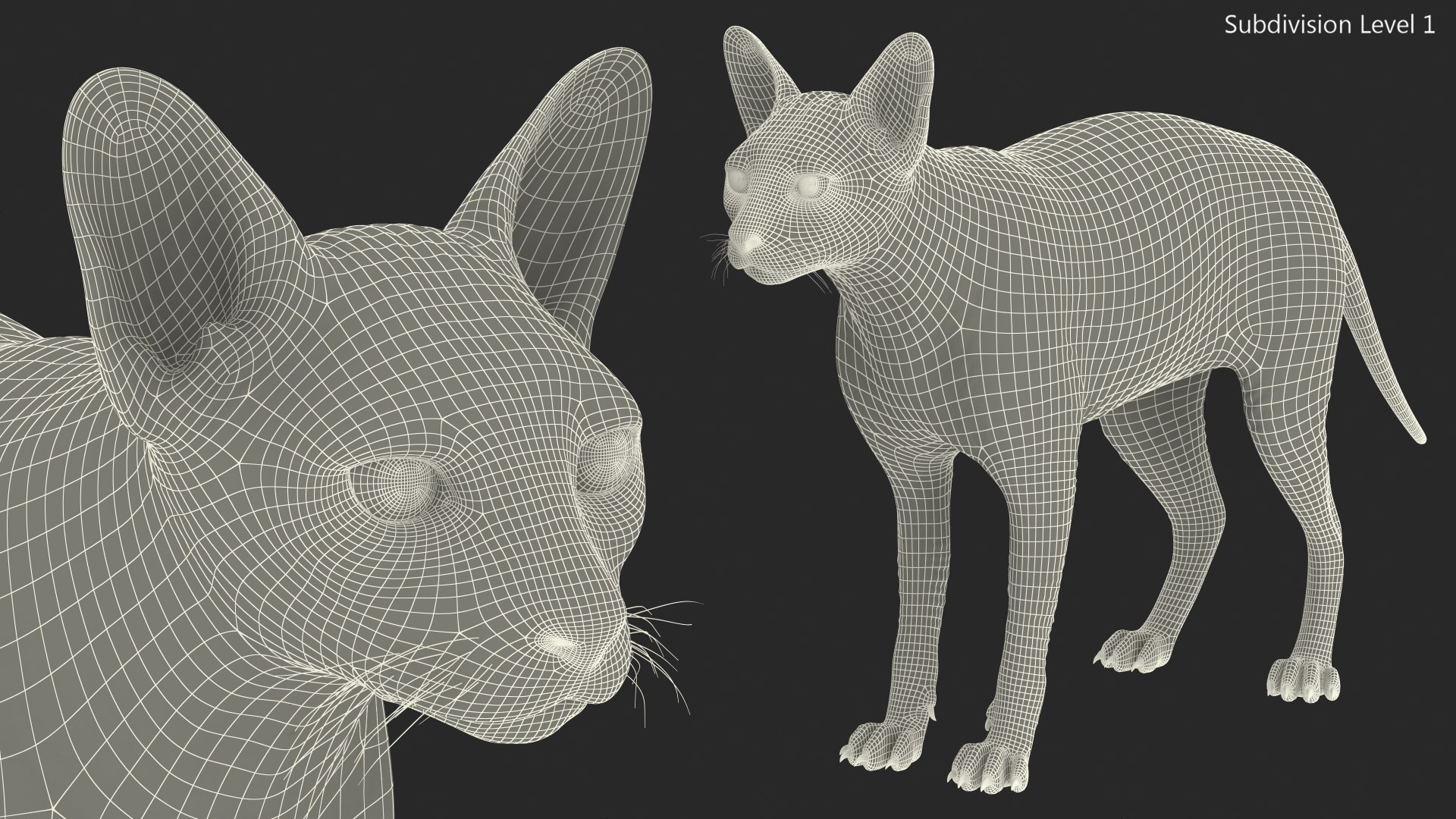 cream sphynx cat rigged 3D model https://p.turbosquid.com/ts-thumb/cb/SRKU04/z6QG0pTS/creamsphynxcatriggedvray3dmodel025/jpg/1606342450/1920x1080/fit_q87/5a033ce3736ecdef00392a3ee3a65a69b487fc20/creamsphynxcatriggedvray3dmodel025.jpg