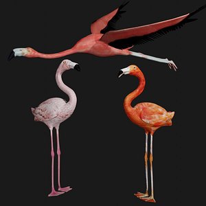 Pink and Red Flamingo Collection Rigged Low Poly