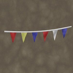 used car flags zipped max