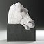 horse head parthenon