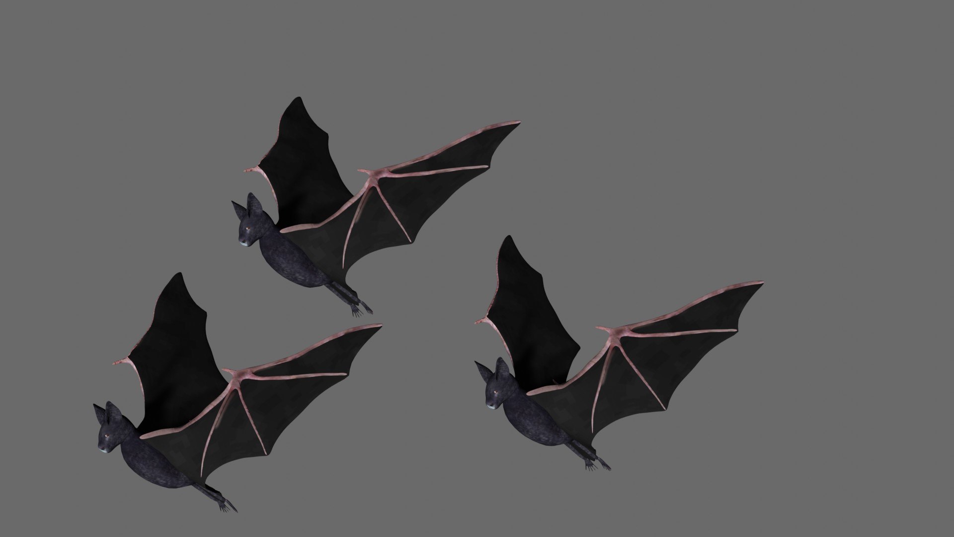 3D Rigged Bat - TurboSquid 1751450