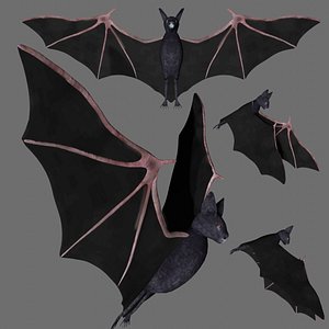 rigged bat