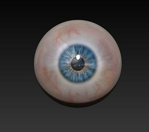 Eye