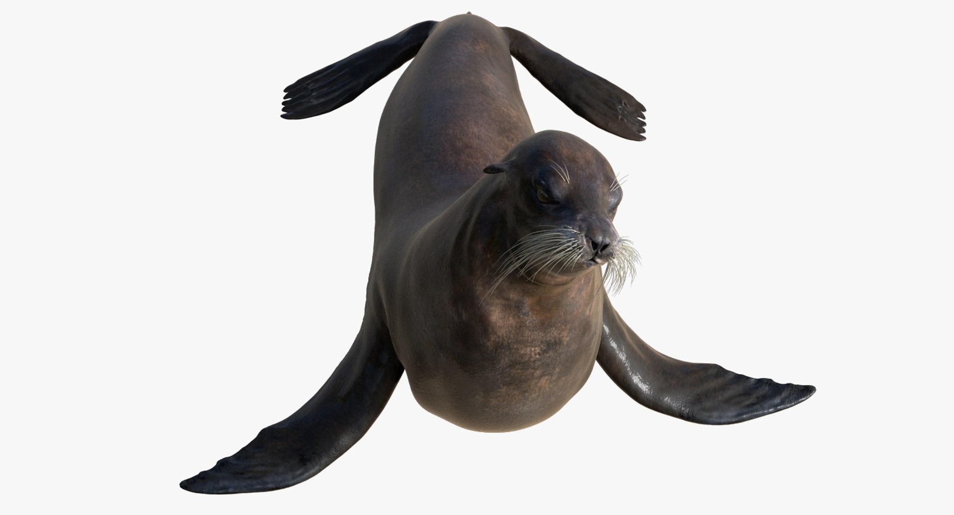 3D rigged ear https://p.turbosquid.com/ts-thumb/cc/2hb57E/2oua0rEN/12/jpg/1537409267/1920x1080/fit_q87/f0edba48e12dca11cbe7e65c9f78c7b7527be732/12.jpg