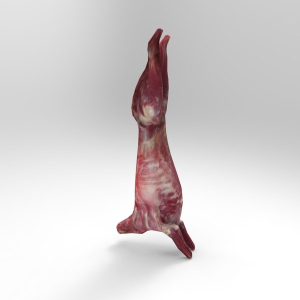 3d meat 01 model