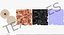 Anatomy Male Muscular System Rigged