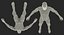 Anatomy Male Muscular System Rigged