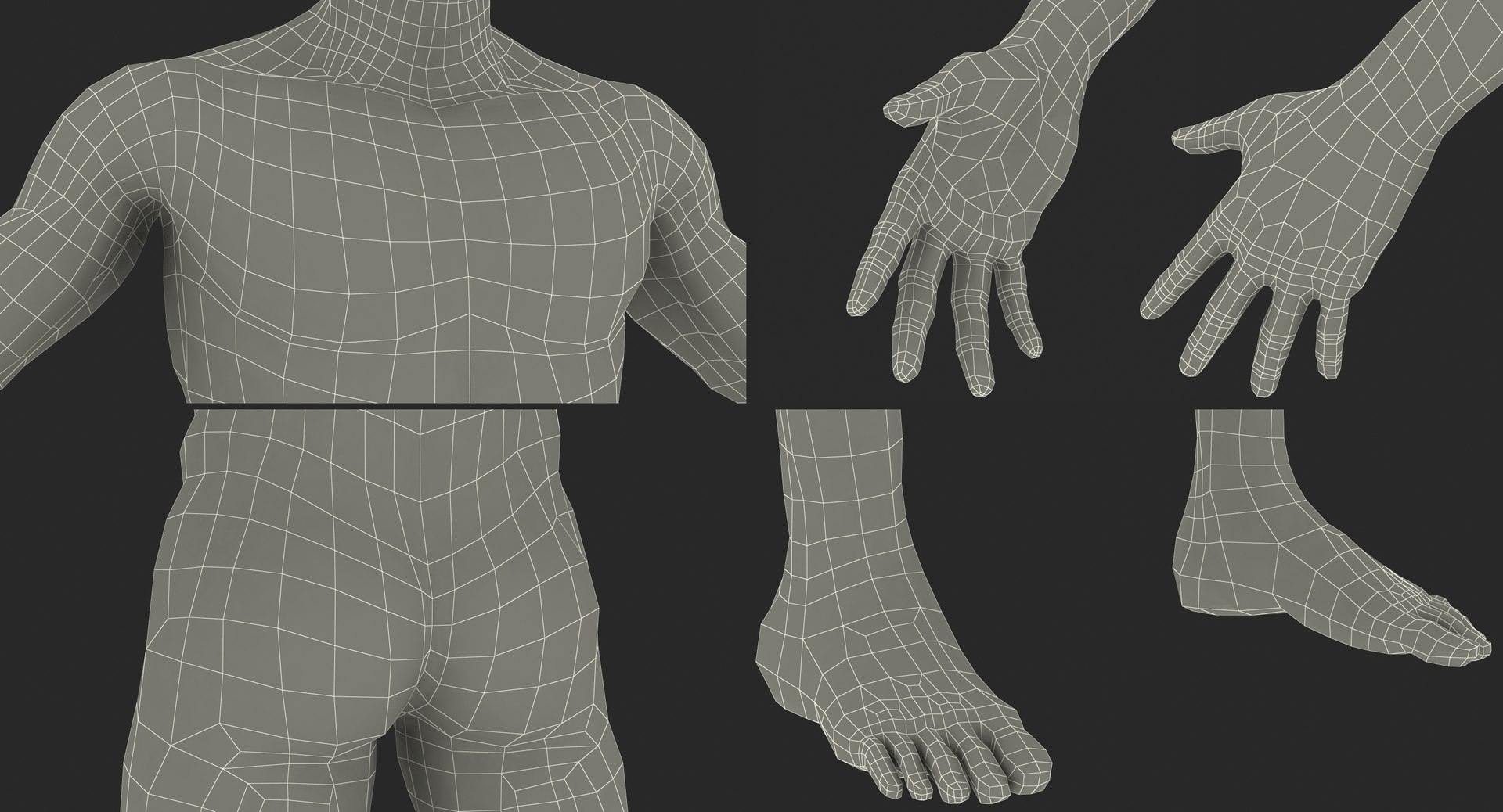 anatomy male muscular rigged model https://p.turbosquid.com/ts-thumb/cc/HV9oZa/I2v5MZ0t/anatomymalemuscularsystemriggedmb3dmodel032/jpg/1514037649/1920x1080/fit_q87/87ebd9263a90b755158efaf55a08a51ae7800fd2/anatomymalemuscularsystemriggedmb3dmodel032.jpg