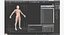 Anatomy Male Muscular System Rigged