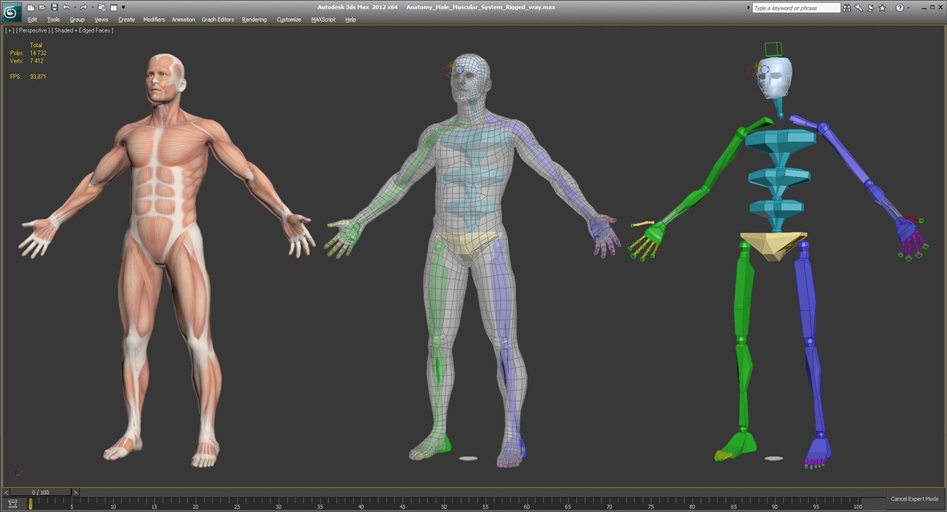 anatomy male muscular rigged model https://p.turbosquid.com/ts-thumb/cc/HV9oZa/gFJJNWpb/anatomymalemuscularsystemriggedmb3dmodel022/jpg/1514037648/1920x1080/fit_q87/f61f3cdf621059c55d59e1de16c59556623d6b3c/anatomymalemuscularsystemriggedmb3dmodel022.jpg