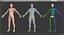 Anatomy Male Muscular System Rigged