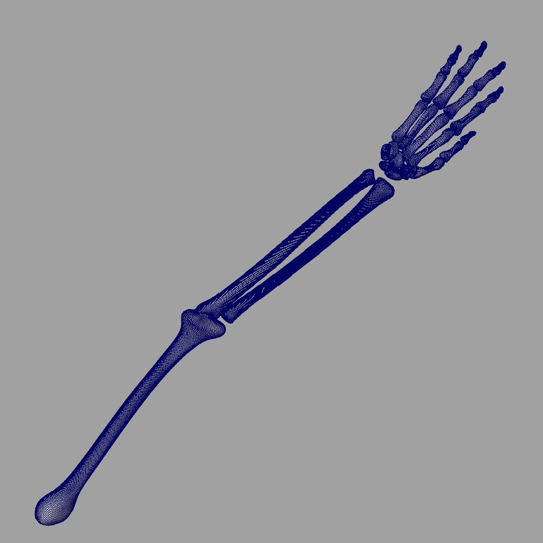 human skeletal arm 3d model https://p.turbosquid.com/ts-thumb/cc/Mis9iI/6zOa2vUJ/wire02/jpg/1366402581/1920x1080/fit_q87/4550ac610a696a62db20ad49e604ecabd2f48738/wire02.jpg