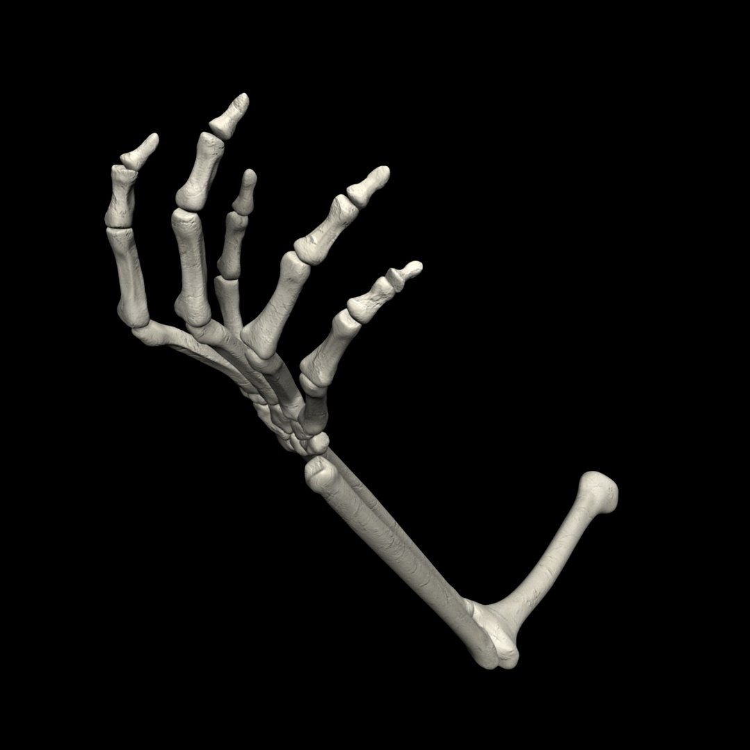 human skeletal arm 3d model https://p.turbosquid.com/ts-thumb/cc/Mis9iI/t7v8gftS/r26/jpg/1366400291/1920x1080/fit_q87/b52d085de9ee933d72b31a8c58ceebcd69f8462d/r26.jpg
