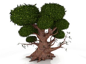 oak 3D model