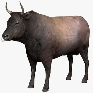 3D model bull animal beast