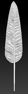 3d model solid