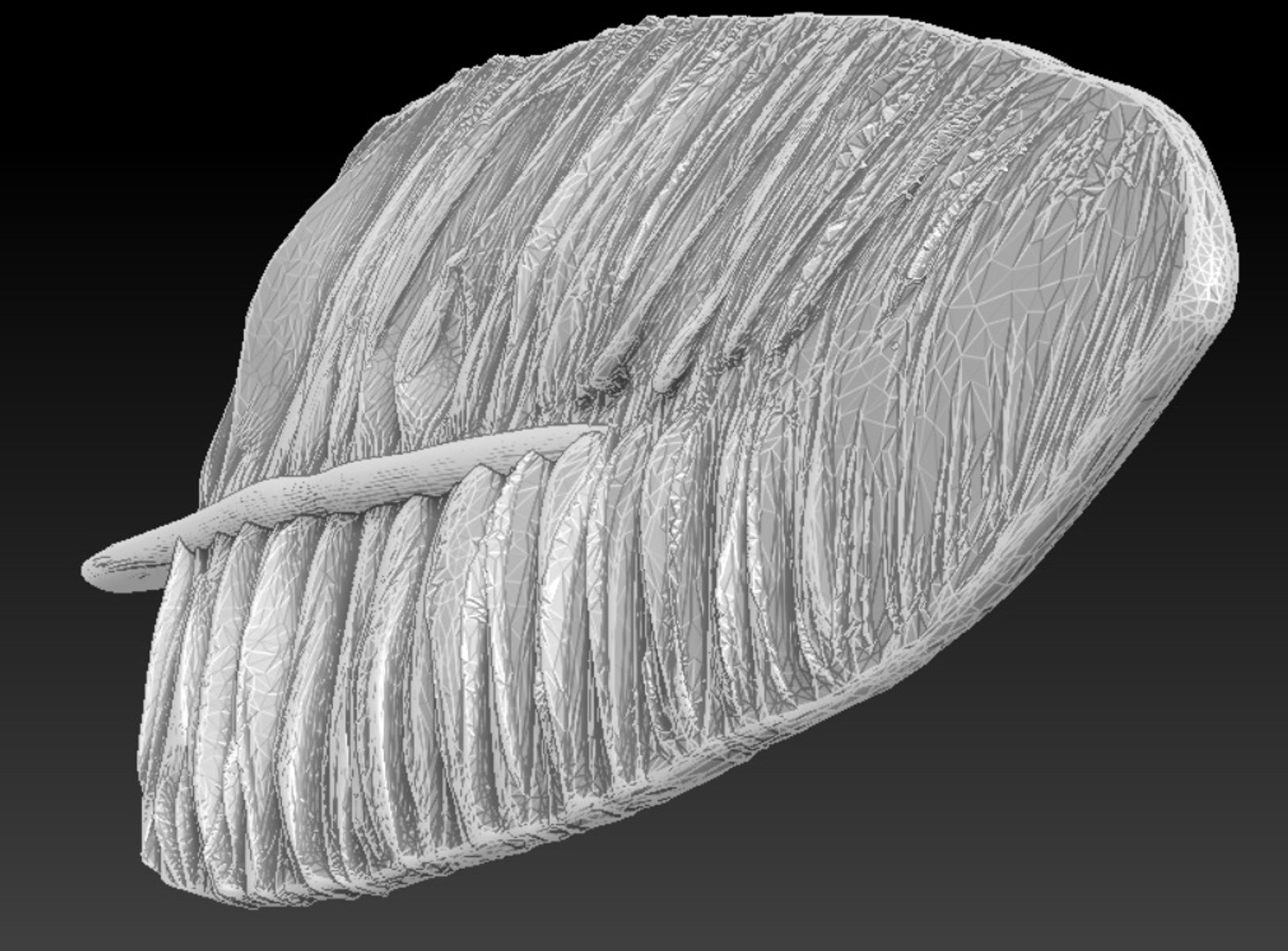 3d Model Solid