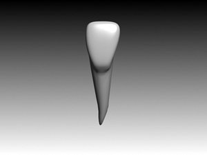 3ds central incisiv mandibular