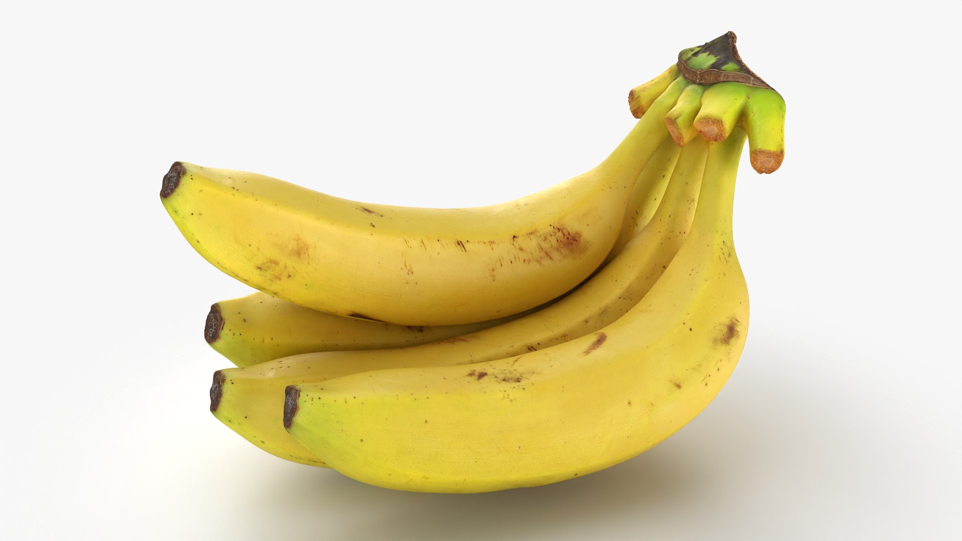 Banana Stem with Remaining Bananas 3D model https://p.turbosquid.com/ts-thumb/cd/7RIEOw/5A/bunchbananav5_0004/png/1782980836/1920x1080/fit_q87/deb851f1bf6313dcf9b1dfcb2779b2b43941d843/bunchbananav5_0004.jpg