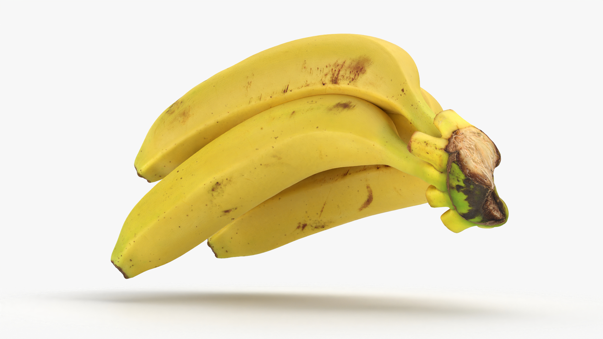 Banana Stem with Remaining Bananas 3D model https://p.turbosquid.com/ts-thumb/cd/7RIEOw/93/bunchbananav5/png/1783005144/1920x1080/turn_fit_q99/476eef21a788c8480d4a622666d4308f1b5d7b13/bunchbananav5-1.jpg