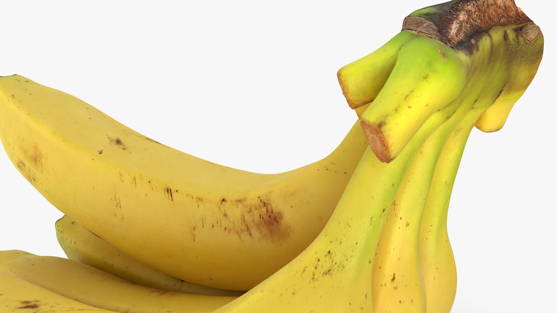 Banana Stem with Remaining Bananas 3D model https://p.turbosquid.com/ts-thumb/cd/7RIEOw/Xa/bunchbananav5_0008/png/1782980844/1920x1080/fit_q87/56200d103a4afd0f417051a827ed7988f18b2166/bunchbananav5_0008.jpg