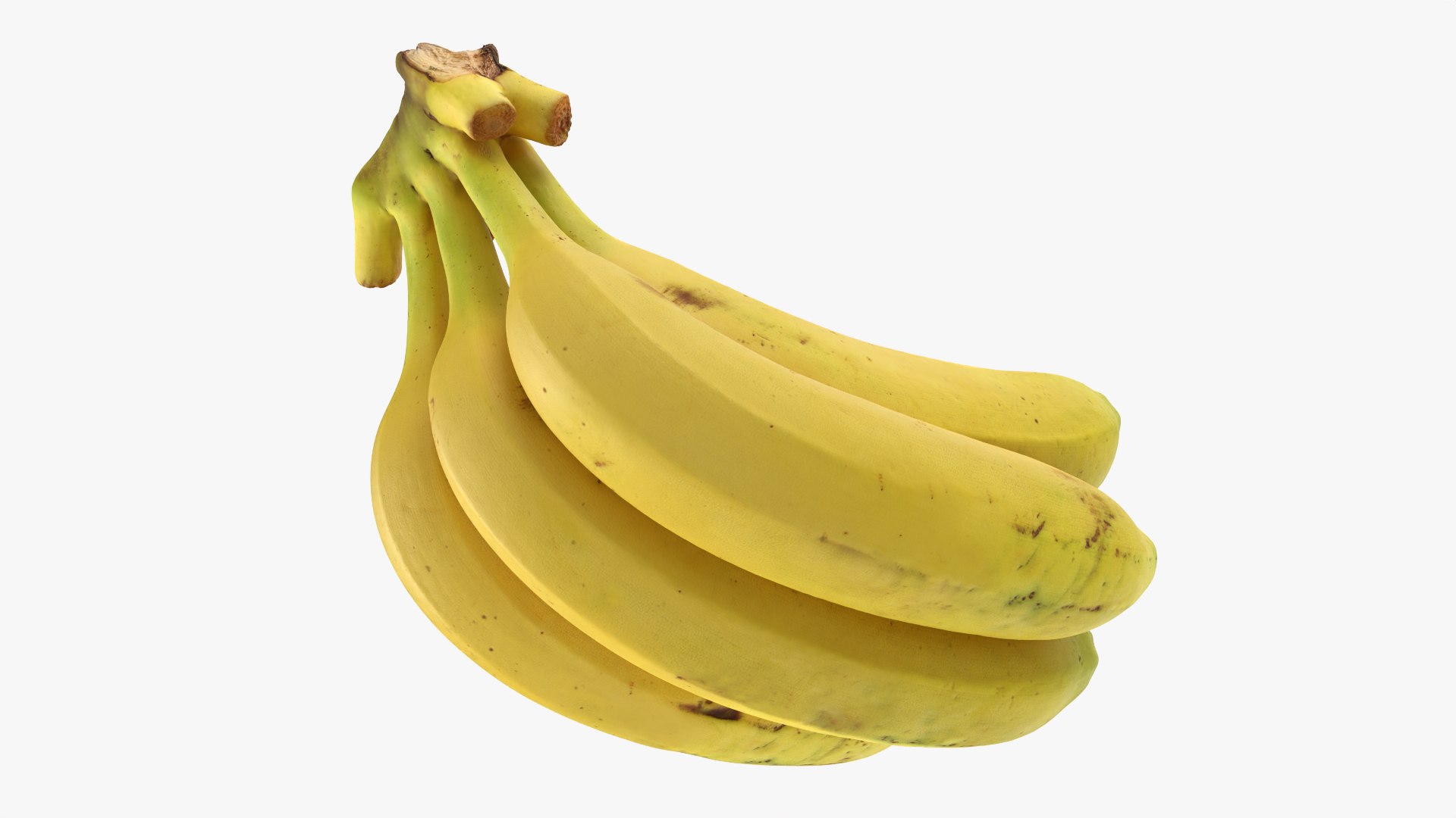 Banana Stem with Remaining Bananas 3D model https://p.turbosquid.com/ts-thumb/cd/7RIEOw/Xm/bunchbananav5_0010/png/1782980847/1920x1080/fit_q87/b4050256e604f80176f11d602a059ee7513f6666/bunchbananav5_0010.jpg