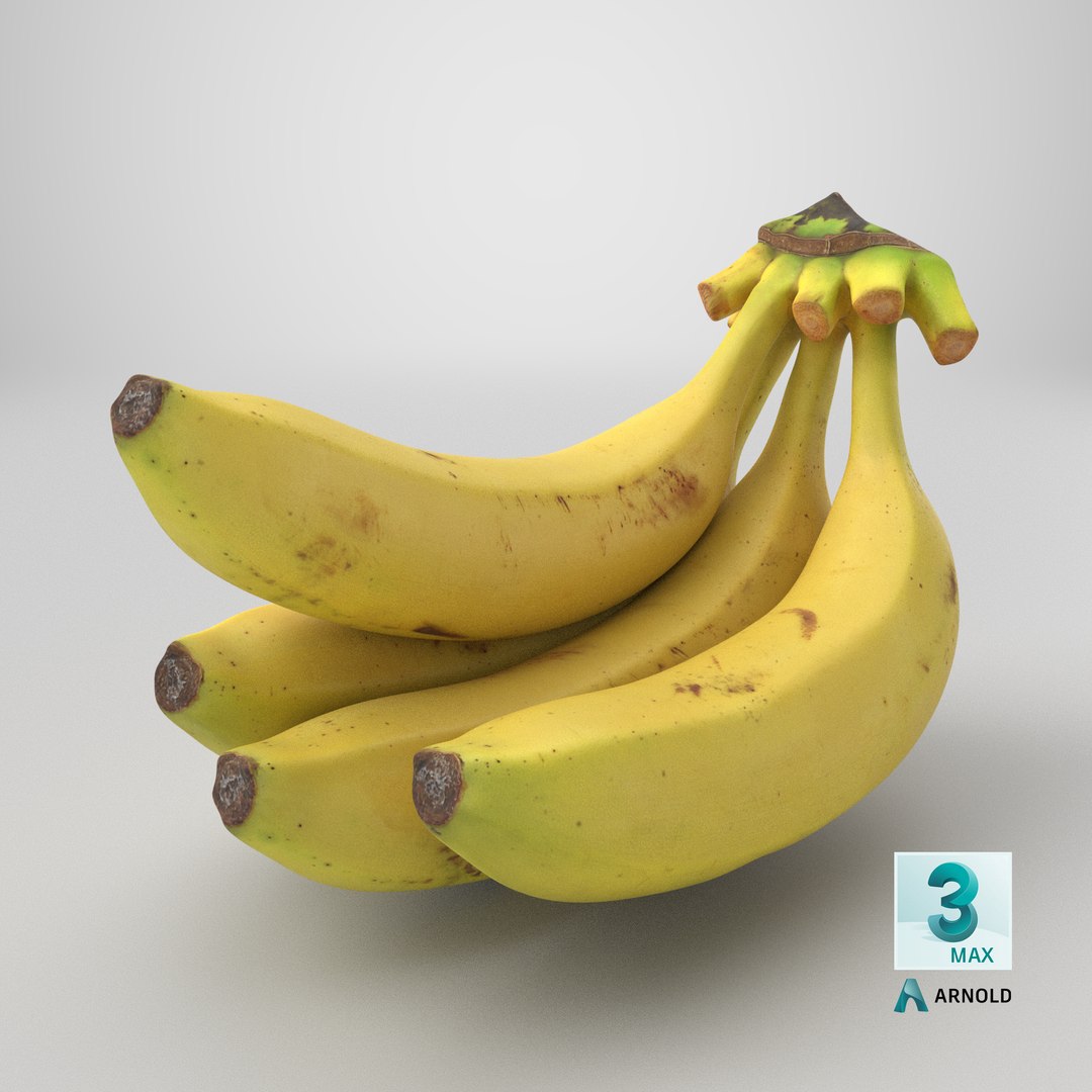 Banana Stem with Remaining Bananas 3D model https://p.turbosquid.com/ts-thumb/cd/7RIEOw/YX/stemcell_max_arnold_render/png/1783974271/1920x1080/fit_q87/dc9eafe654212dc57165489e0e49635b44b0ac7c/stemcell_max_arnold_render.jpg