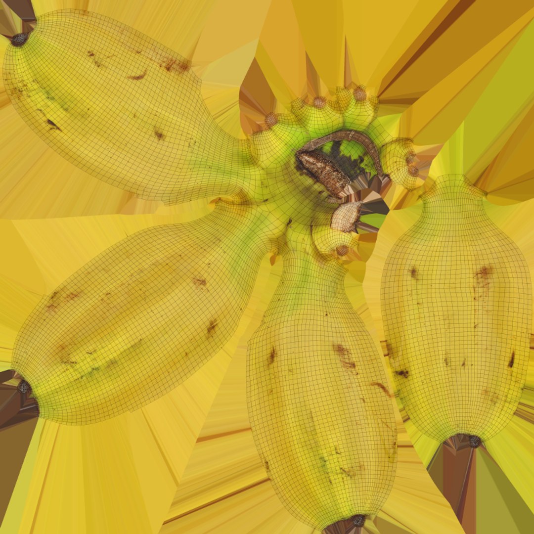 Banana Stem with Remaining Bananas 3D model https://p.turbosquid.com/ts-thumb/cd/7RIEOw/Yp/bunchbananav5_e0004/png/1782980851/1920x1080/fit_q87/b384498a867104b0c5fd4e96588299d45068b5a6/bunchbananav5_e0004.jpg