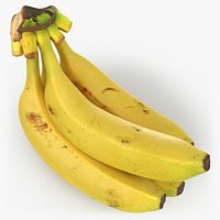 Banana Stem with Remaining Bananas