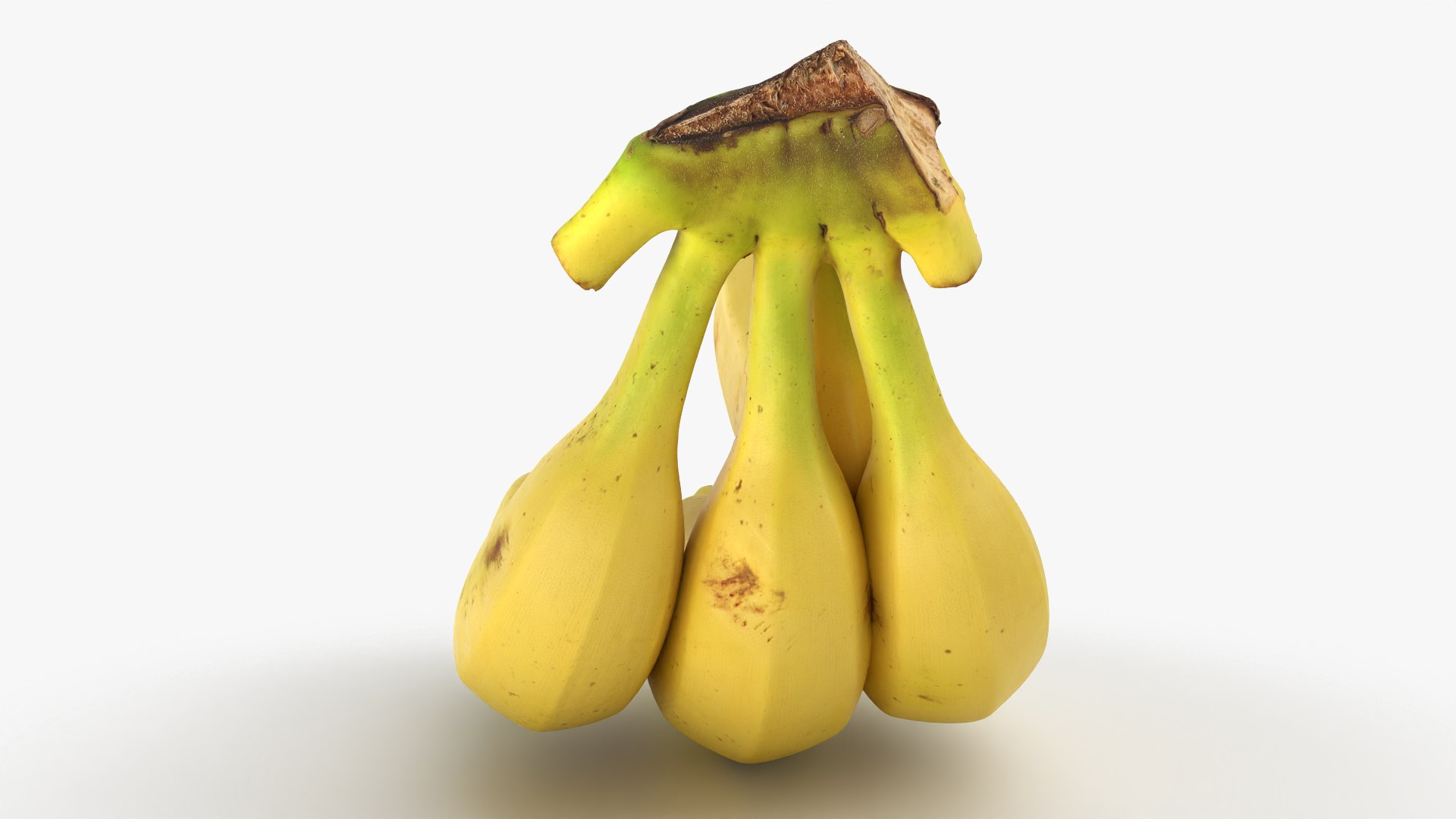 Banana Stem with Remaining Bananas 3D model https://p.turbosquid.com/ts-thumb/cd/7RIEOw/ns/bunchbananav5_0007/png/1782980842/1920x1080/fit_q87/cbf0287841ea031374cfa620da52d11f0e6212c3/bunchbananav5_0007.jpg