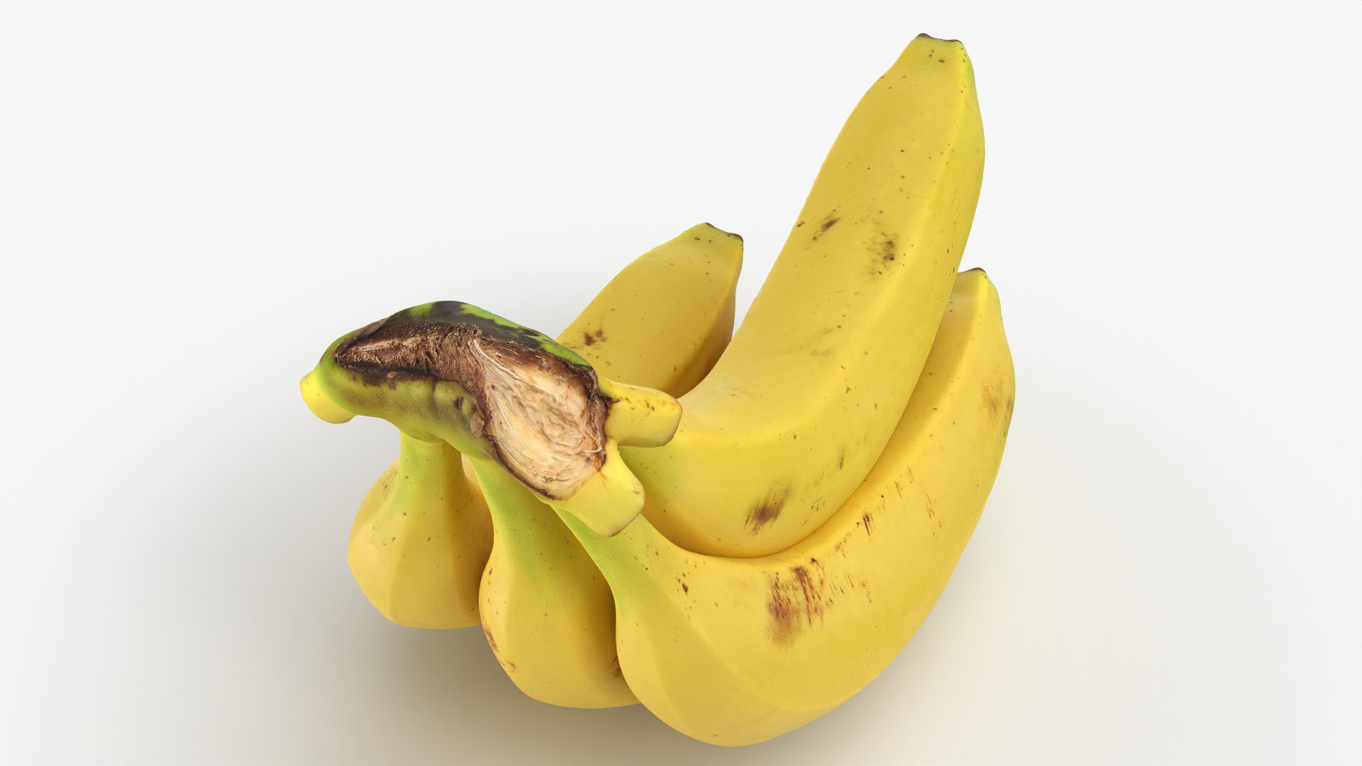Banana Stem with Remaining Bananas 3D model https://p.turbosquid.com/ts-thumb/cd/7RIEOw/og/bunchbananav5_0009/png/1782980845/1920x1080/fit_q87/f4e96060827712c3a178d7be0d5d5e99a977795e/bunchbananav5_0009.jpg
