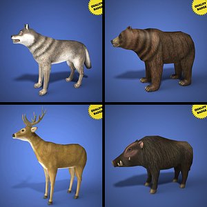 Real Time Animals Collection